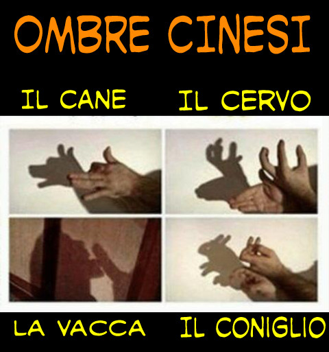Ombre cinesi il cane il cervo la vacca il coniglio