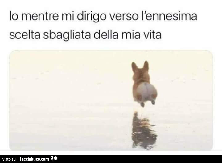 Io mentre mi dirigo verso l'ennesima scelta sbagliata della mia vita