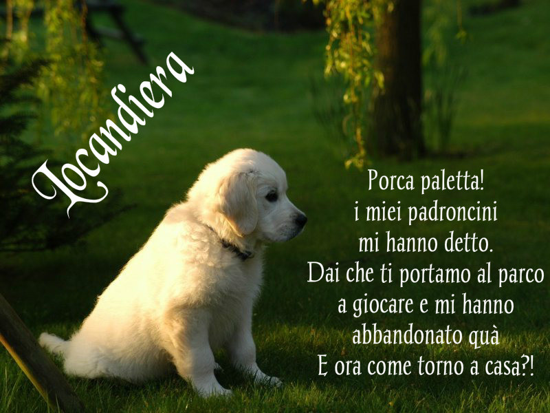 Un cucciolo per amico 