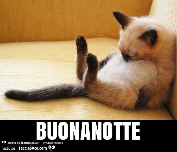 Buonanotte