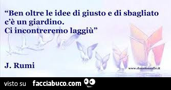 Ben oltre le idee di giusto e di sbagliato c'è un giardino. Ci incontreremo laggiù. J. Rumi