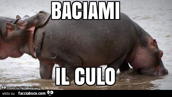 Baciami il culo