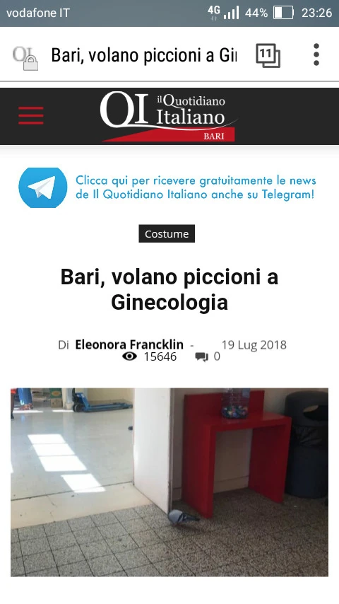 Vaccata