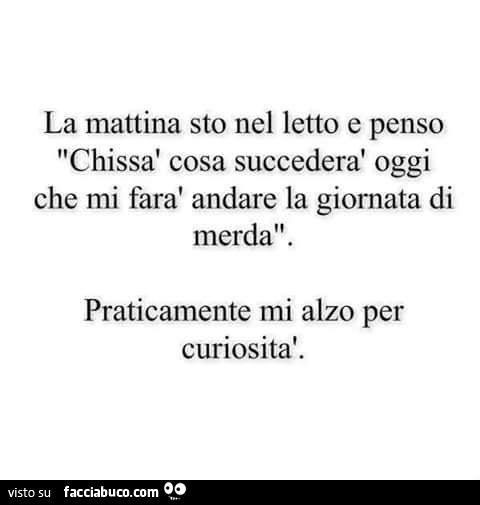 La mattina sto nel letto e penso chissà cosa succederà oggi che mi farà andare la giornata di merda. Praticamente mi alzo per curiosità