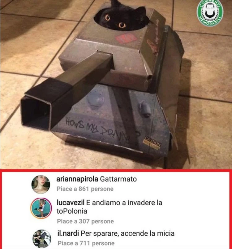 Vaccata
