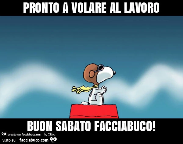 Pronto a volare al lavoro buon sabato facciabuco
