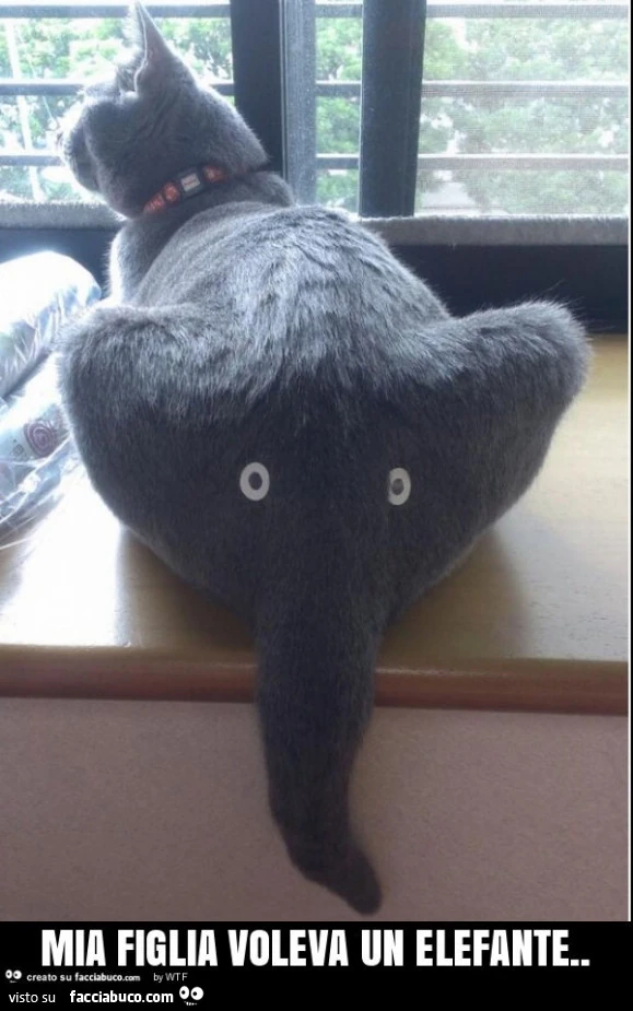 Mia figlia voleva un elefante