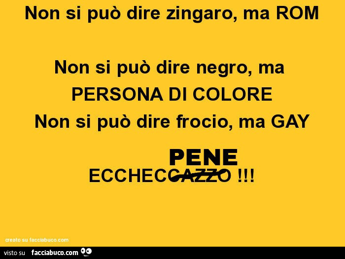 Non si può dire zingaro, ma rom non si può dire negro, ma persona di colore non si può dire frocio, ma gay pene ecchepene