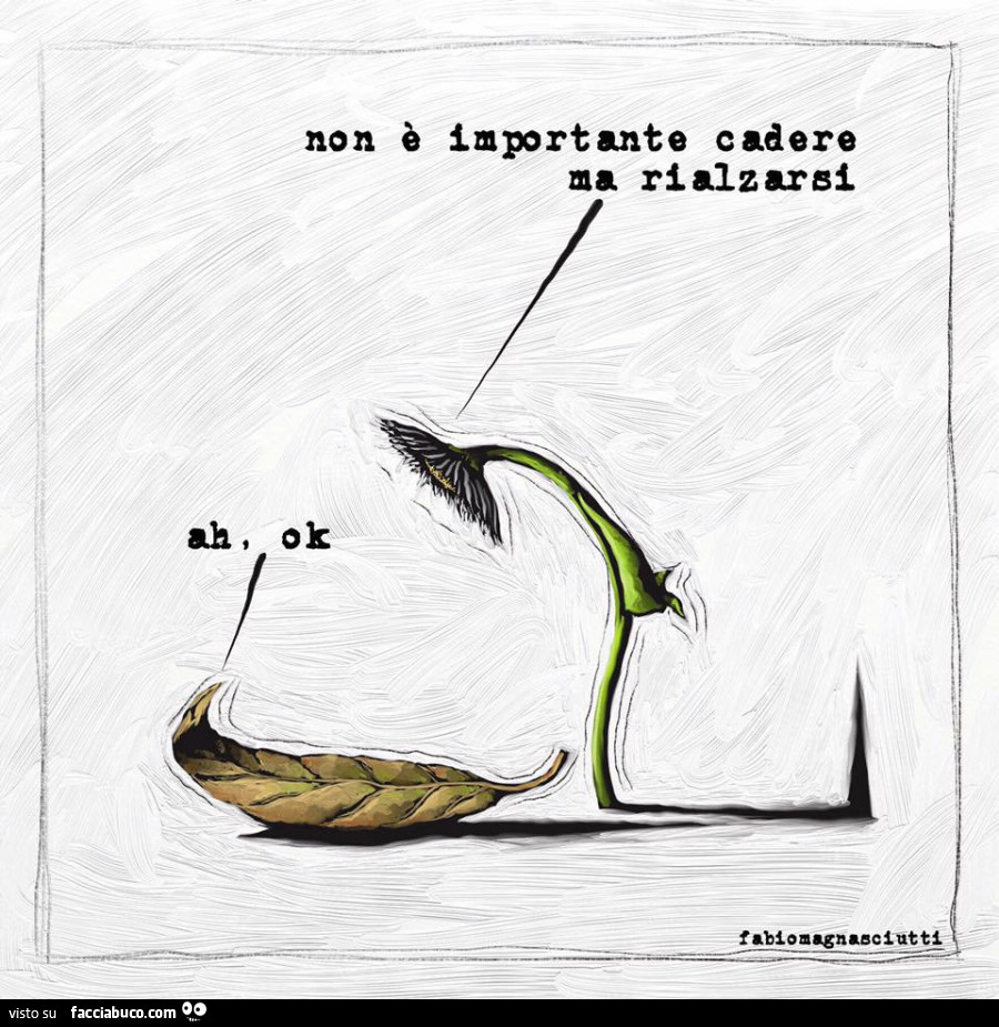 Non è importante cadere ma rialzarsi. Ah ok