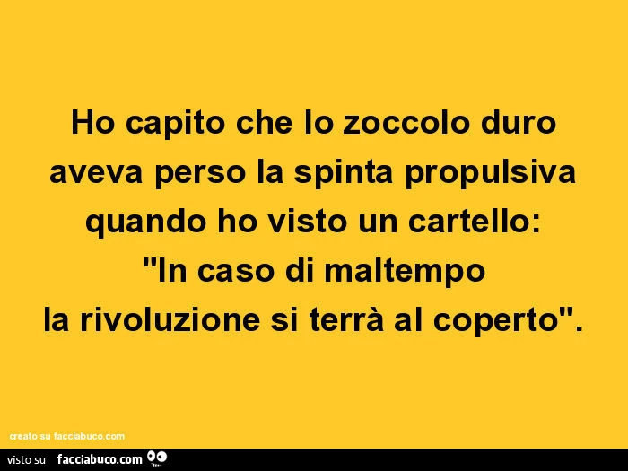 Ho capito che lo zoccolo duro aveva perso la spinta propulsiva quando ho visto un cartello: "in caso di maltempo la rivoluzione si terrà al coperto"