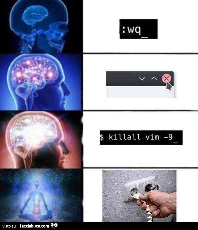 Vaccata