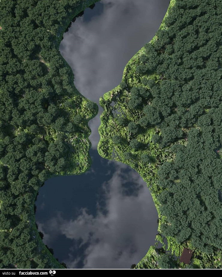Lago e alberi visti dall'alto
