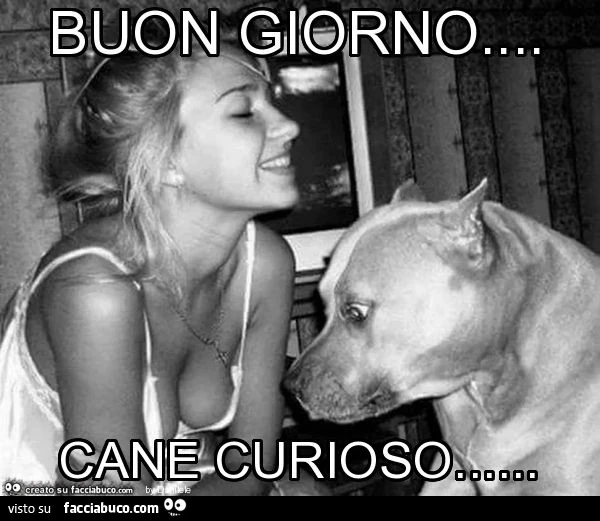 Buon giorno&hellip; cane curioso