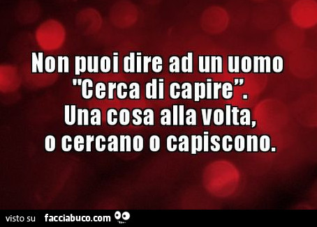 Non puoi dire ad un uomo cerca di capire. Una cosa alla volta, o cercano o capiscono