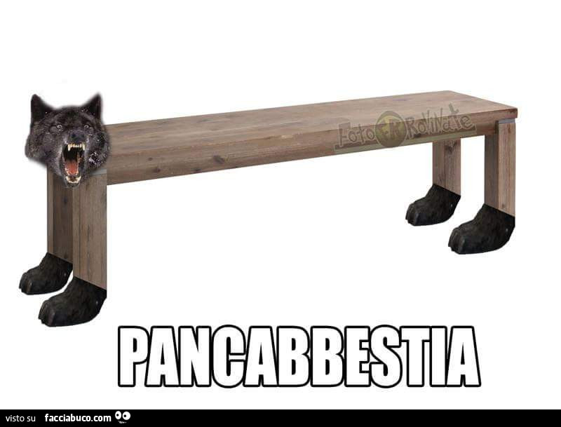 Pancabbestia