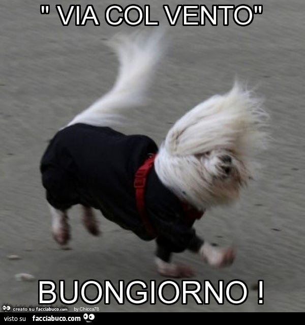 " via col vento" buongiorno