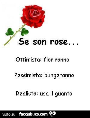 Se son rose&hellip; ottimista: fioriranno. Pessimista: pungeranno. Realista: usa il guanto