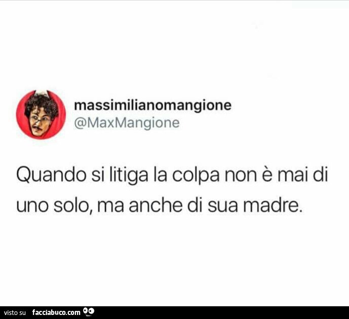 Quando si litiga la colpa non è mai di uno solo, ma anche di sua madre