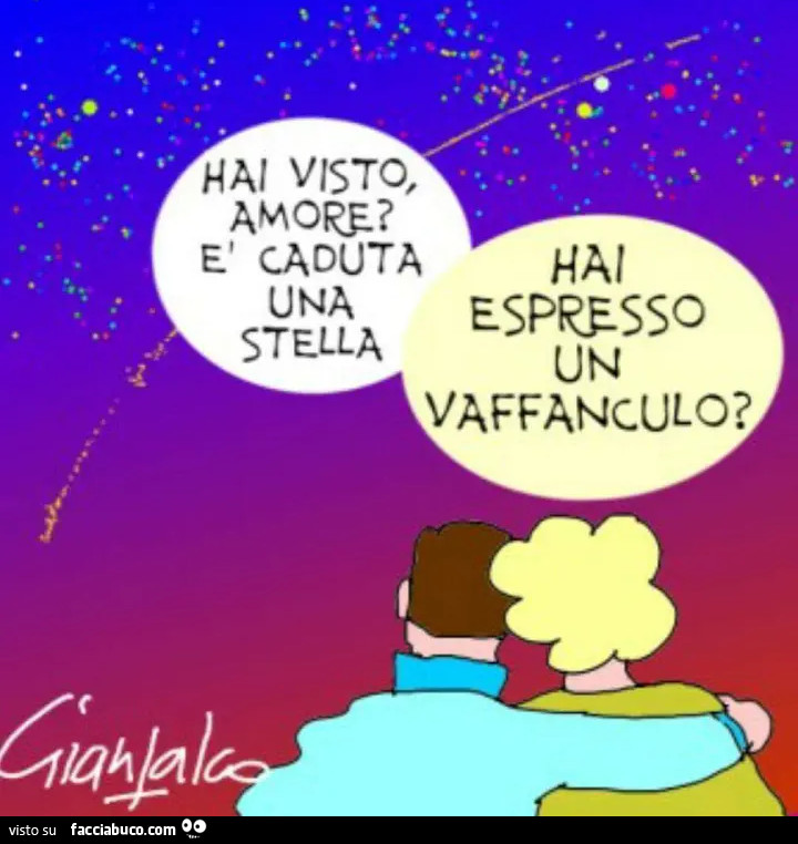 Hai visto amore? È Caduta una stella. Hai espresso un vaffanculo?