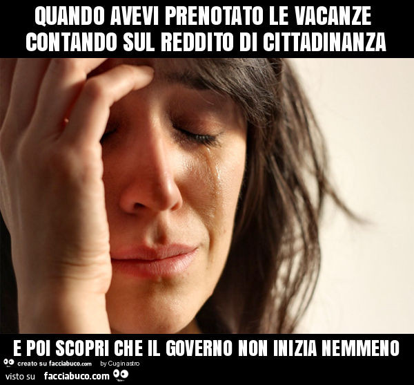 Quando avevi prenotato le vacanze contando sul reddito di cittadinanza e poi scopri che il governo non inizia nemmeno