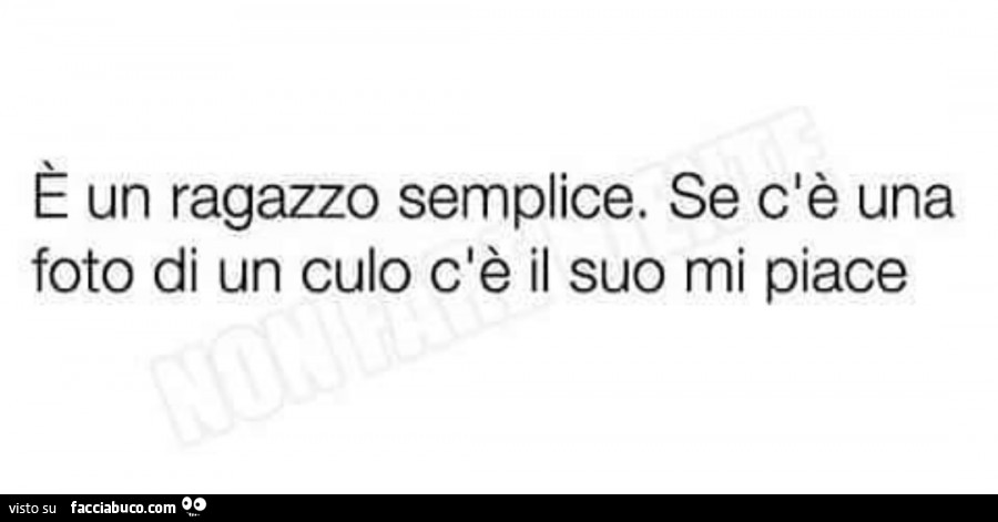 È un ragazzo semplice. Se c'è una foto di un culo c'è il suo mi piace