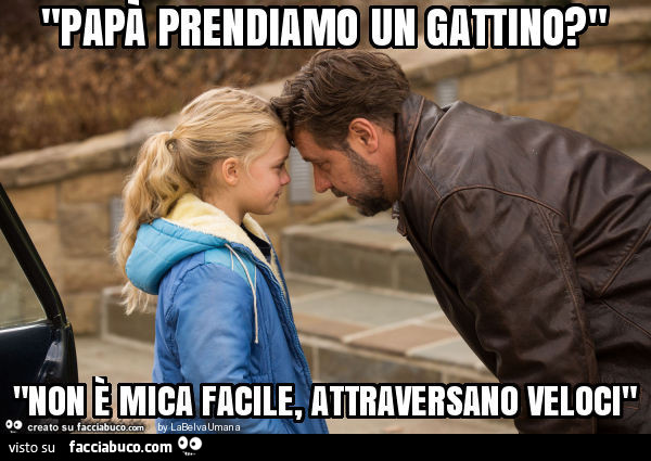 "papà prendiamo un gattino? " "Non è mica facile, attraversano veloci"