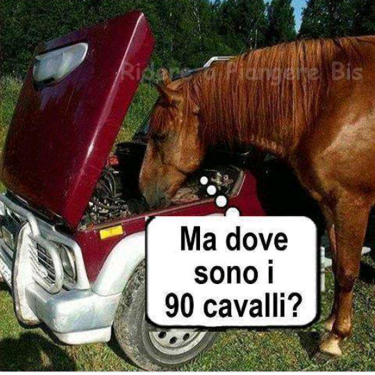 Cavalli della macchina