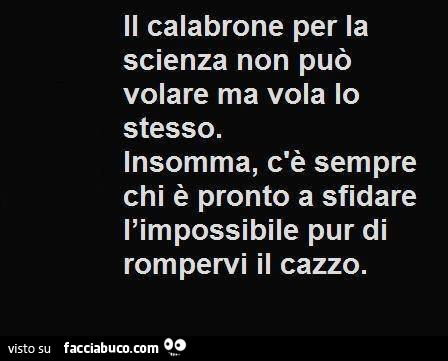 Il calabrone per la scienza non può volare ma vola lo stesso. Insomma, c'è sempre chi è pronto a sfidare l'impossibile pur di rompervi il cazzo