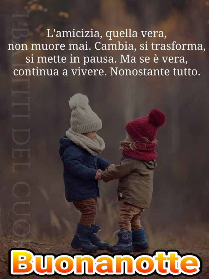 Amicizia quella vera non muore mai cambia si trasforma si mette in pausa ma se è vera continua a vivere nonostante tutto