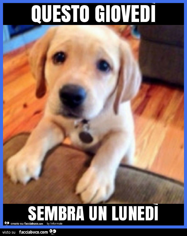 Questo giovedì sembra un lunedì
