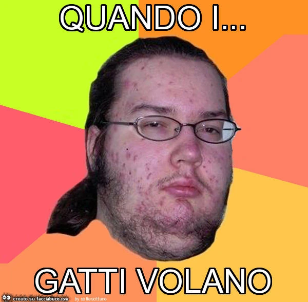 Quando i&hellip; gatti volano