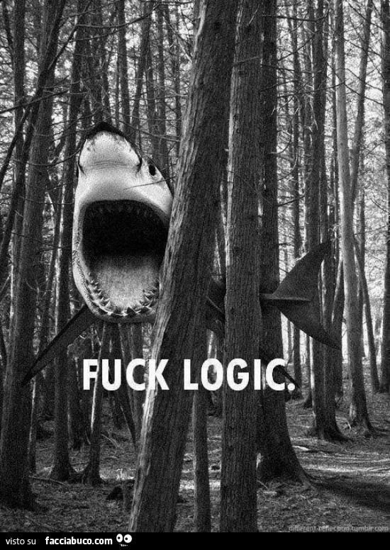 Fuck Logic. Squalo nel bosco