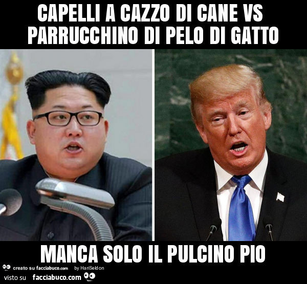 Capelli a cazzo di cane vs parrucchino di pelo di gatto manca solo il pulcino pio