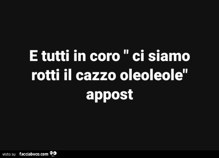 E tutti in coro ci siamo rotti il cazzo oleoleole appost