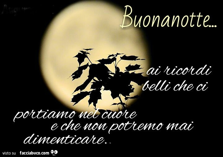 Buonanotte… ai ricordi belli che ci portiamo nel cuore e che non potremo mai dimenticare