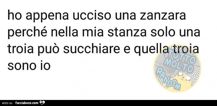 Ho appena ucciso una zanzara perché nella mia stanza solo una troia può succhiare, e quella troia sono io