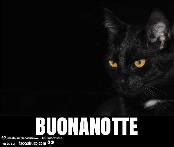 Gatto nero: Buonanotte