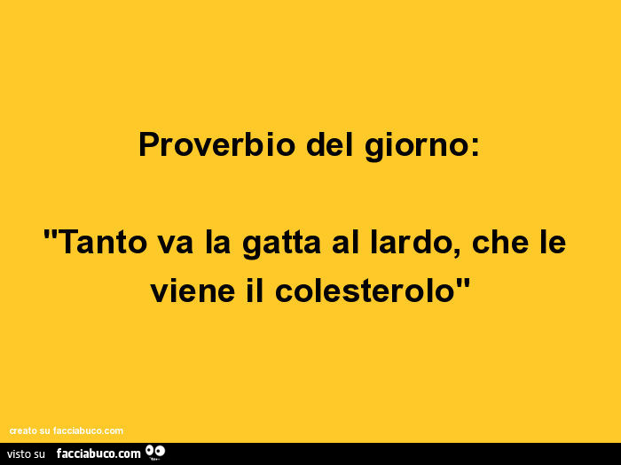 Proverbio del giorno: tanto va la gatta al lardo, che le viene il colesterolo