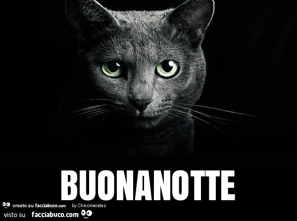 Gatto nero, occhi verdi. Buonanotte