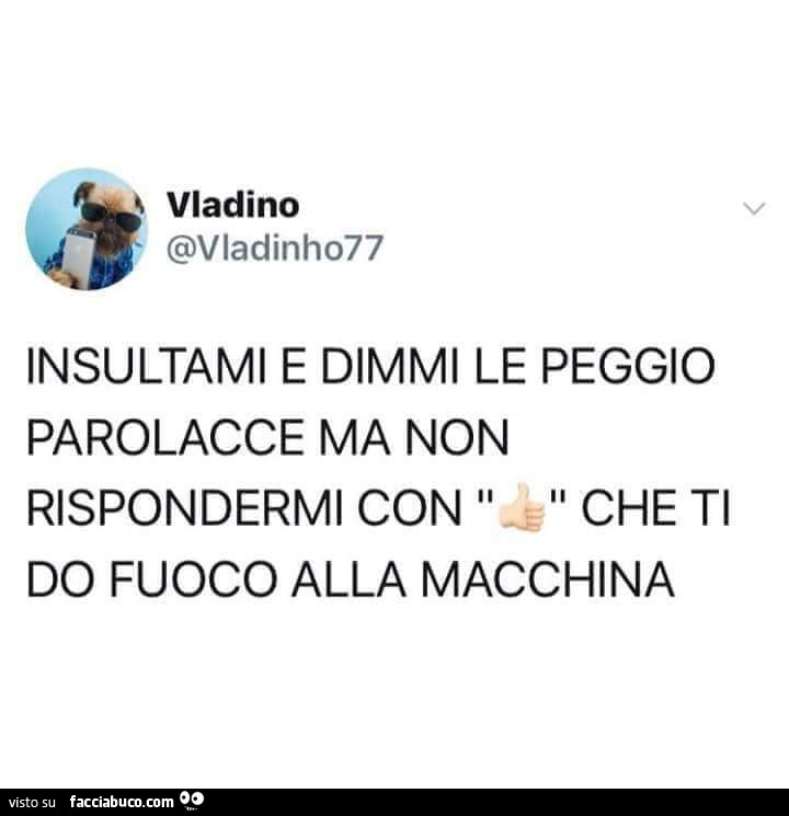 Insultami e dimmi le peggio parolacce ma non rispondermi con che ti do fuoco alla macchina