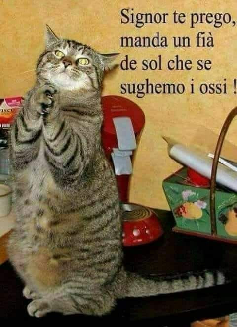 Che due palle sto tempo.… vaccata pubblicata da Enigmale