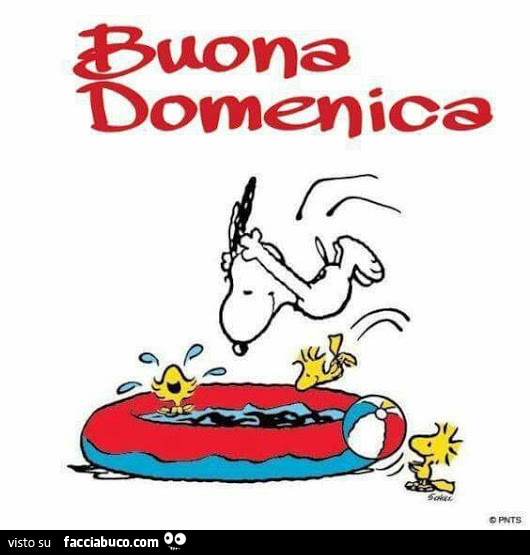 Snoopy buona domenica