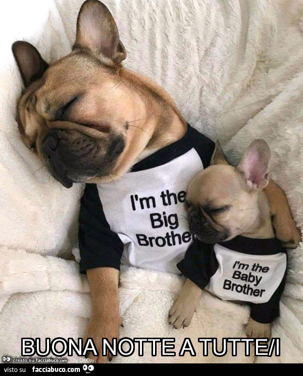 Buona notte a tutte/i