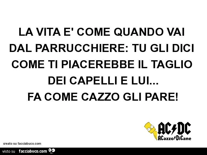 La vita è come quando vai dal parrucchiere: tu gli dici come ti piacerebbe il taglio dei capelli e lui&hellip; fa come cazzo gli pare