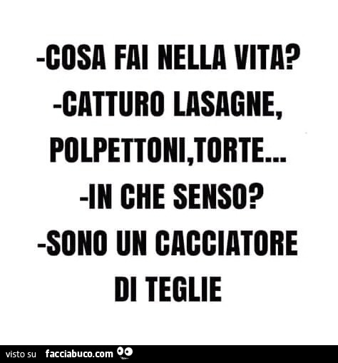 Cosa fai nella vita? Catturo lasagne, polpettoni, torte… in che senso? Sono un cacciatore di teglie