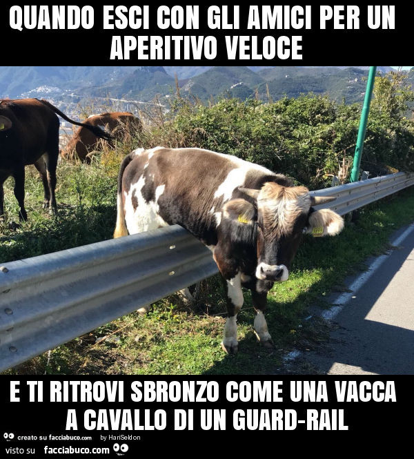 Quando esci con gli amici per un aperitivo veloce e ti ritrovi sbronzo come una vacca a cavallo di un guard-rail