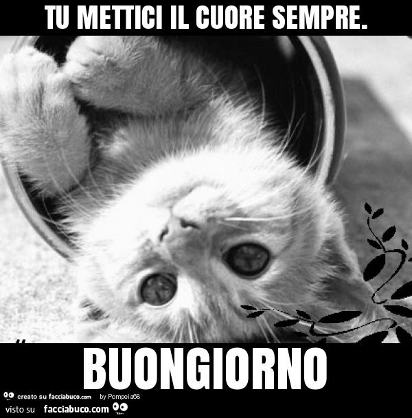 Tu mettici il cuore sempre. Buongiorno