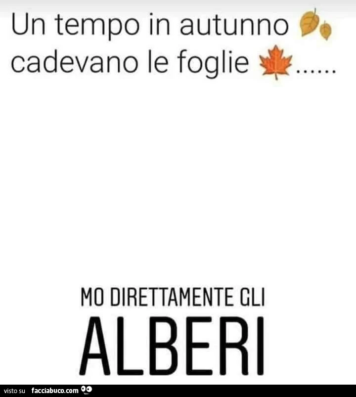 Un tempo in autunno cadevano le foglie&hellip; mo direttamente gli alberi