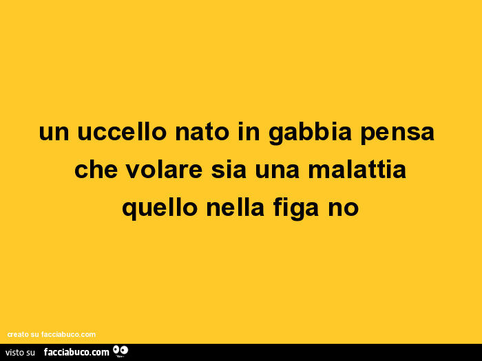 Un uccello nato in gabbia pensa che volare sia una malattia quello nella figa no