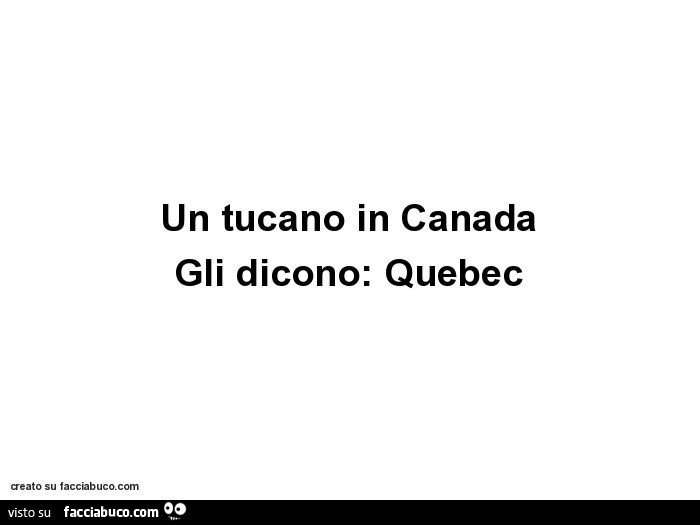 Un tucano in canada gli dicono: quebec